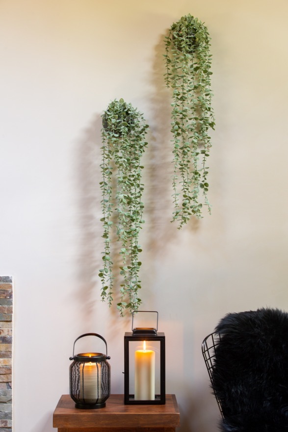 Candles and hanging plants B47X0564